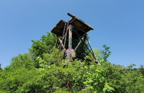 An abandoned watchtower covered in greenery and graffiti against a clear blue sky.