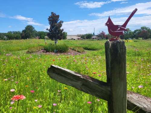 A red bird silhouette perched on a wooden post, overlooking a vibrant field of flowers under a blue sky.