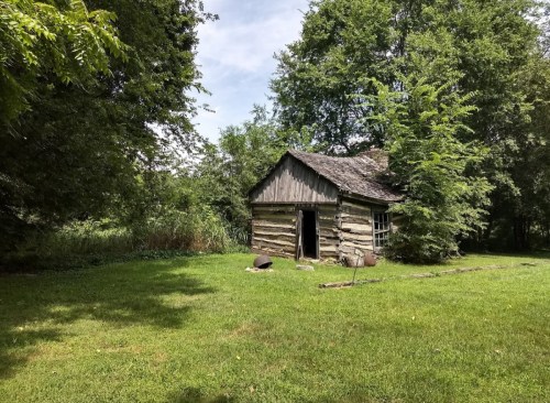 A rustic log cabin surrounded by greenery and trees, with a grassy area in front and a cloudy sky above.