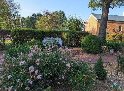 A peaceful garden scene featuring a white bench surrounded by blooming flowers and lush greenery under a clear blue sky.