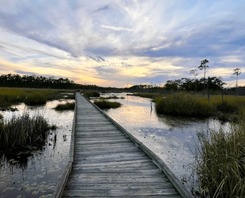 A wooden boardwalk stretches over a calm marsh at sunset, surrounded by tall grasses and a colorful sky.