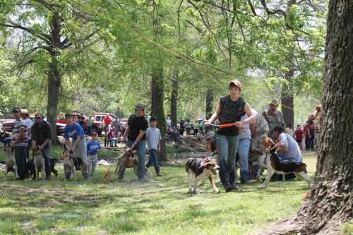 A group of people and dogs participate in an outdoor event, surrounded by trees and a lively atmosphere.