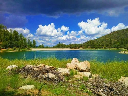 A serene lake surrounded by greenery and rocky shores, under a blue sky with fluffy white clouds.