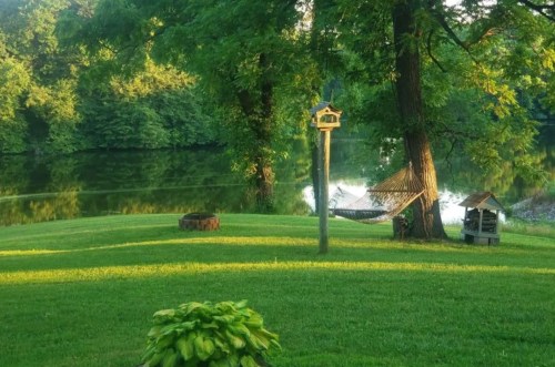 A serene lakeside scene with a hammock, birdhouse, and lush green grass under sunlight.