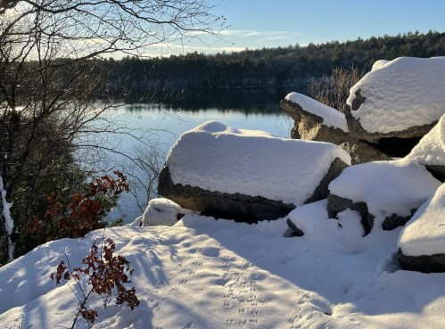 Snow-covered rocks by a calm lake, surrounded by trees, with sunlight reflecting on the water.