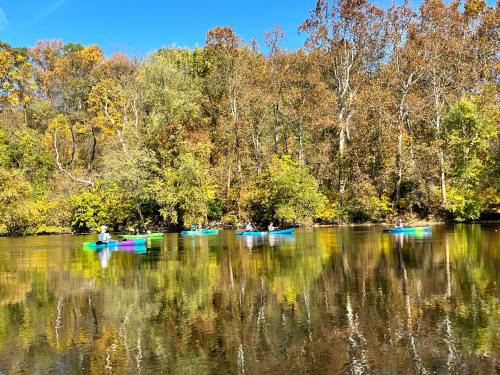 Colorful kayaks on a calm river, surrounded by trees with autumn foliage reflecting in the water.