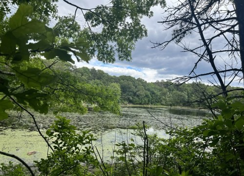 A serene lake surrounded by lush greenery and trees under a cloudy sky.