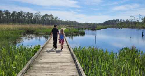 A couple walks hand in hand along a wooden boardwalk by a serene wetland, surrounded by lush greenery and water.