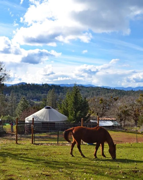 A brown horse grazes in a green field near a yurt, with mountains and clouds in the background.