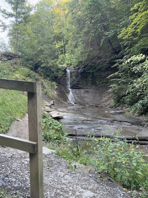 A serene forest scene featuring a small waterfall cascading over rocky terrain, surrounded by lush greenery.