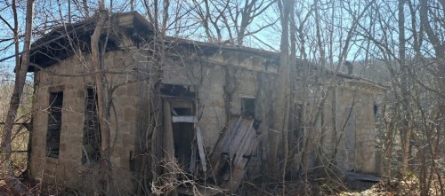Abandoned stone building overgrown with trees and vines, partially hidden in a wooded area.