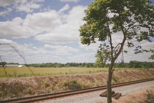 A scenic view of a grassy field and blue sky with clouds, alongside a railway track and a lone tree.
