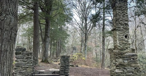 Stone ruins stand among tall trees in a wooded area, with a path leading through the serene landscape.