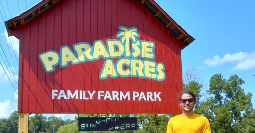 A person in a yellow shirt stands in front of the colorful "Paradise Acres Family Farm Park" sign on a sunny day.