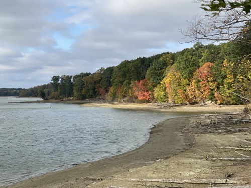 A serene lakeside view with colorful autumn trees lining the shore and a calm water surface under a cloudy sky.