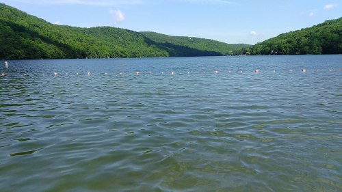 A serene lake surrounded by lush green hills under a clear blue sky, with gentle ripples on the water's surface.