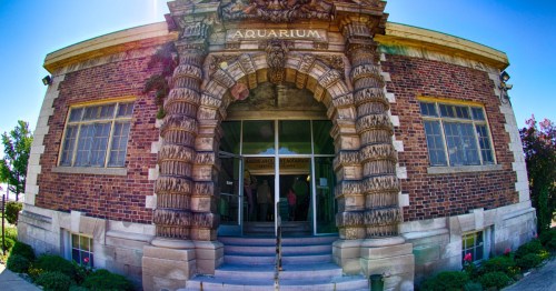 A wide-angle view of the ornate stone entrance and historic brickwork of the Belle Isle Aquarium in Detroit.