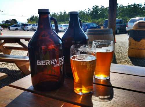 Two glasses of beer and two growlers sit on a picnic table, with a sunny outdoor setting and parked cars in the background.