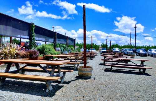 Outdoor seating area with wooden picnic tables, surrounded by greenery and parked cars under a bright blue sky.