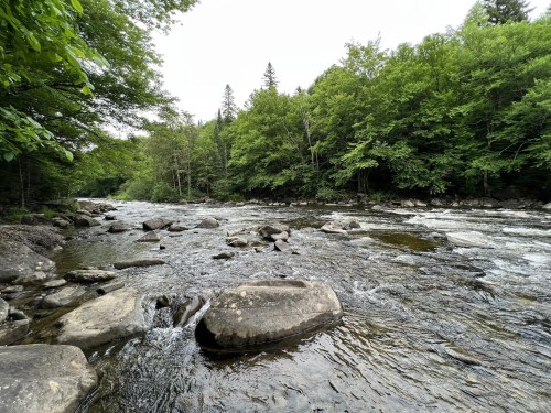 A serene river flows through a lush green forest, with large rocks scattered along the water's edge.