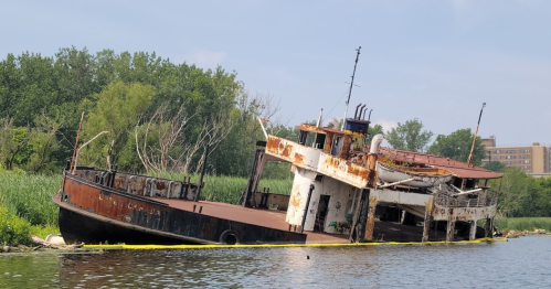 Abandoned, rusted tugboat partially submerged in a river, surrounded by overgrown vegetation and urban buildings in the background.