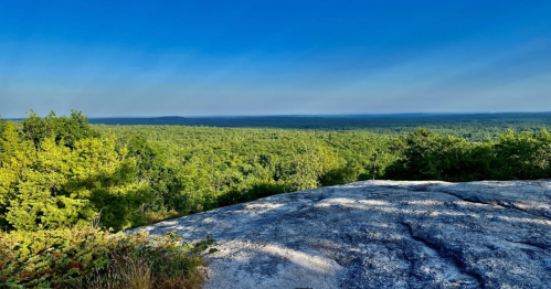A panoramic view of lush green forests from a rocky overlook under a clear blue sky.