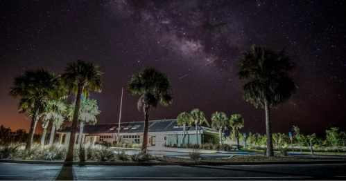 A building surrounded by palm trees under a starry night sky with the Milky Way visible.