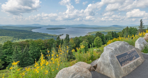 Scenic view from a height overlooking a lake surrounded by lush greenery and wildflowers under a cloudy sky.