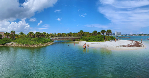 A scenic beach with palm trees, a sandy shore, and people enjoying the water under a blue sky with fluffy clouds.