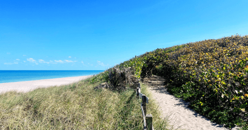 A sandy path leads through lush greenery to a serene beach under a clear blue sky.