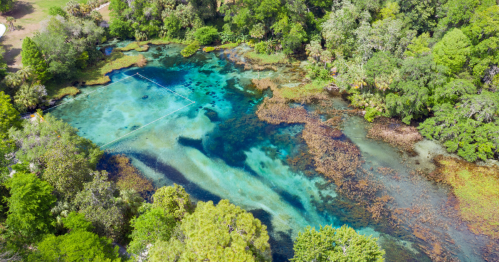 Aerial view of a vibrant blue and green spring surrounded by lush trees and vegetation.