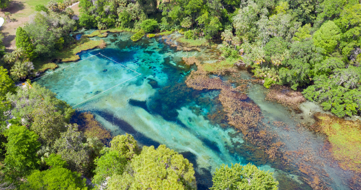 Spring Rivers In Florida Florida Is Home To More Natural Springs Than Anywhere Else