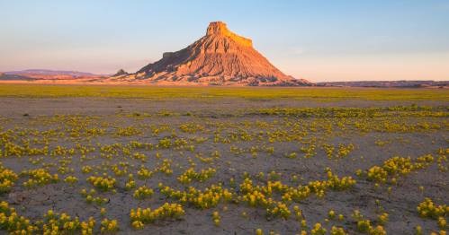 A vibrant landscape featuring a rocky mountain at sunset, surrounded by a field of yellow wildflowers.