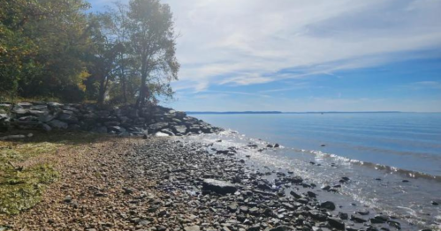 A serene shoreline with pebbles, trees, and calm water under a clear blue sky.