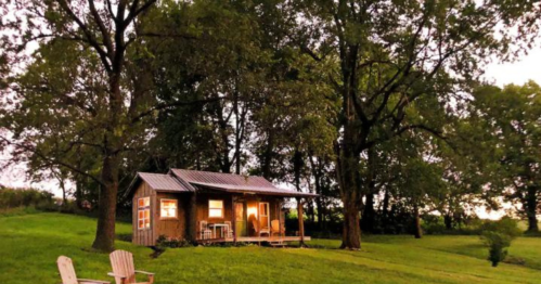 A cozy cabin with a metal roof nestled among trees, illuminated at dusk, with a lawn chair in the foreground.