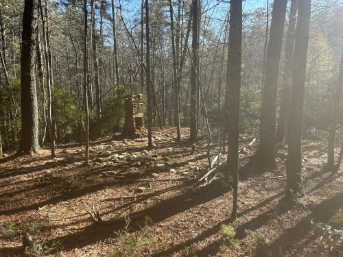 A sunlit forest scene with tall trees and a stone structure partially hidden among fallen leaves and rocks.