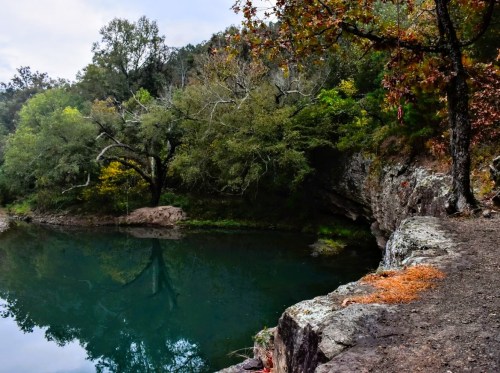 A serene lake surrounded by trees, with autumn leaves and rocky edges reflecting in the calm water.