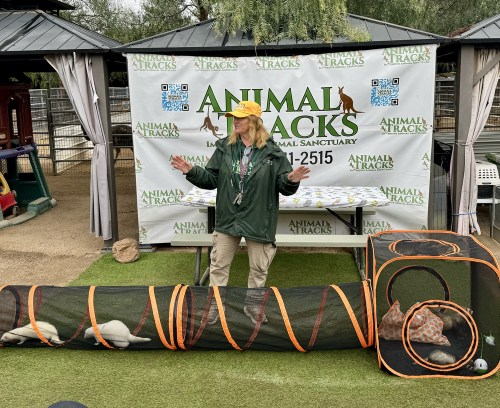A woman in a green jacket stands by a display with animal tunnels at an animal sanctuary event.