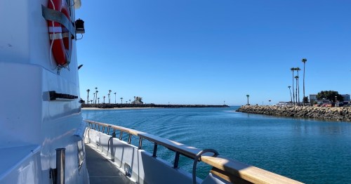 A view from a boat showing calm waters, palm trees, and a clear blue sky along a coastal harbor.