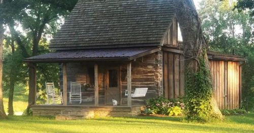 A rustic wooden cabin with a porch, surrounded by greenery and sunlight filtering through trees.