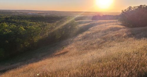 A sun setting over rolling hills, casting warm light on tall grass and trees in the foreground.