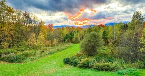 A vibrant sunset over a lush, green landscape with colorful autumn trees and a winding path through the forest.