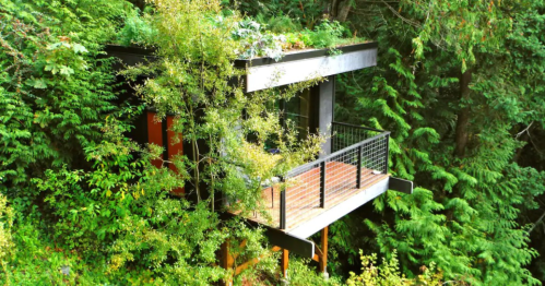 A modern treehouse surrounded by lush greenery, featuring a balcony and a green roof.