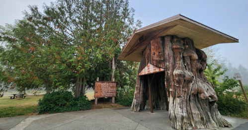 A unique wooden structure resembling a tree trunk, surrounded by greenery and a sign nearby, in a misty setting.