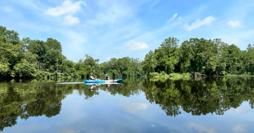 A person kayaking on a calm river surrounded by lush green trees and a clear blue sky, reflecting in the water.