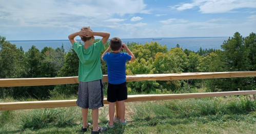 Two boys stand by a wooden fence, looking out at a lake and a distant ship, surrounded by trees under a blue sky.