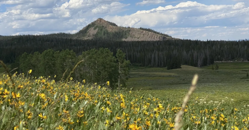 A scenic view of a mountain peak surrounded by lush green fields and wildflowers under a partly cloudy sky.