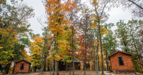 Two rustic cabins surrounded by vibrant autumn trees in a forest setting.