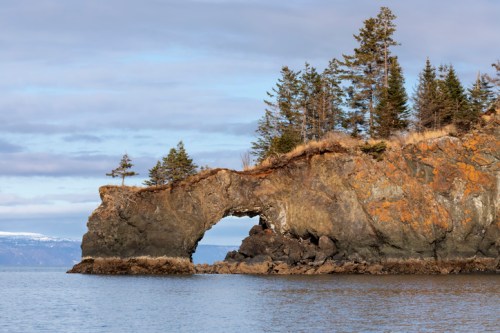A rocky coastline features a natural arch, surrounded by trees and calm waters under a cloudy sky.