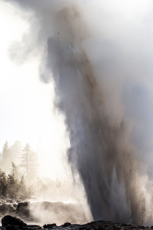 A powerful geyser erupts, sending a plume of steam and water into the air against a backdrop of trees.